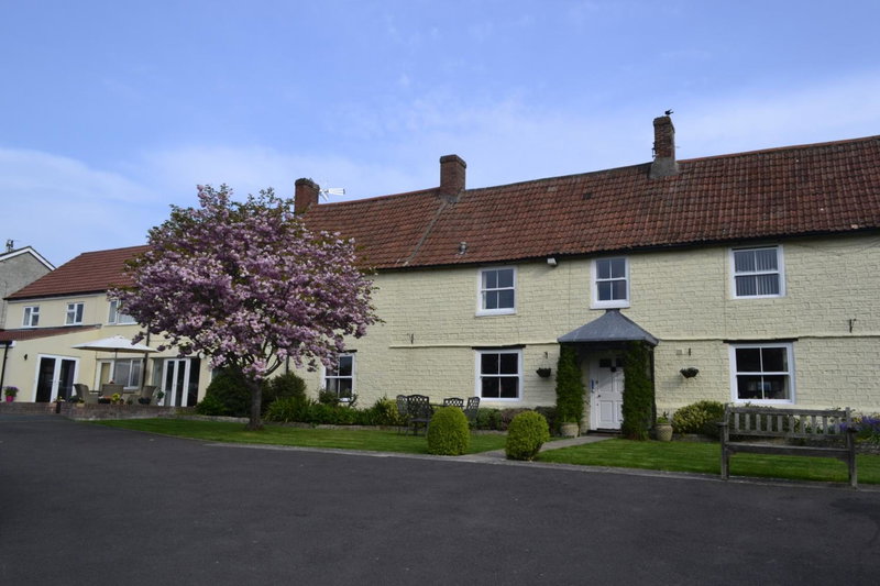 The Lawns Tea Room and B&B, Ashcott, United Kingdom