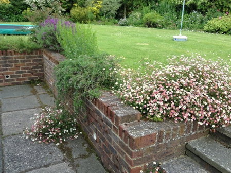 Courtlands Nurseries B&B, East Grinstead, United Kingdom