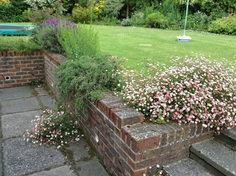 Courtlands Nurseries B&B, East Grinstead, United Kingdom