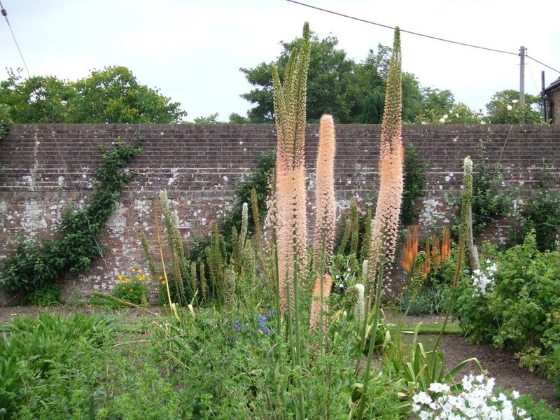 Courtlands Nurseries B&B, East Grinstead, United Kingdom