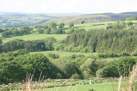 Swansea Valley Holiday Cottages, Cilybebyll, United Kingdom