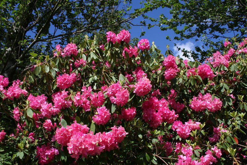 Swansea Valley Holiday Cottages, Cilybebyll, United Kingdom