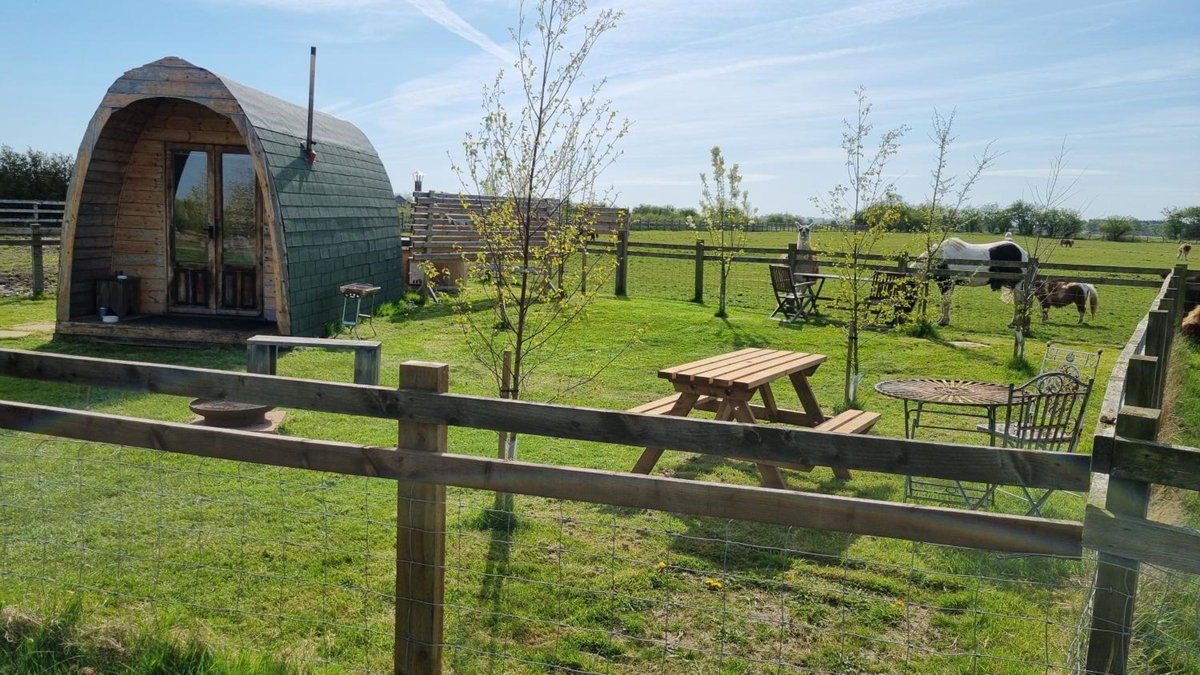 Skipbridge farm glamping, United Kingdom