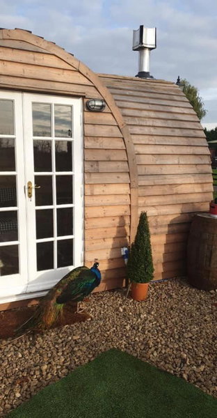 Skipbridge farm glamping, York, United Kingdom