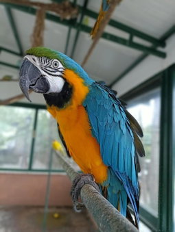 Polonezköy Country Club & Accommodation in the Wildlife Park!, Beykoz, Turkey