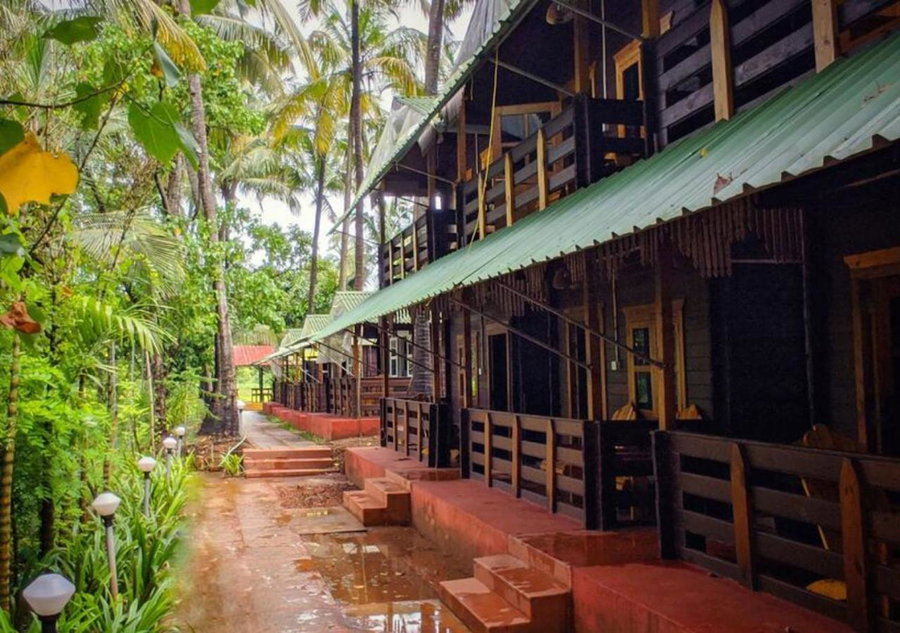 Lotus Feet Cottages, 100 Odd Meters from Morjim Beach, Morjim, India