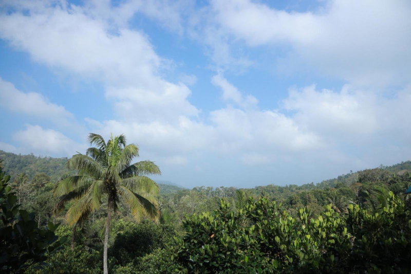 SpiceBuds FarmStay - Ramakkalmedu, Idukki, India