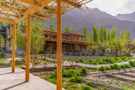 Nubra Ecolodge, Lughzhun, India