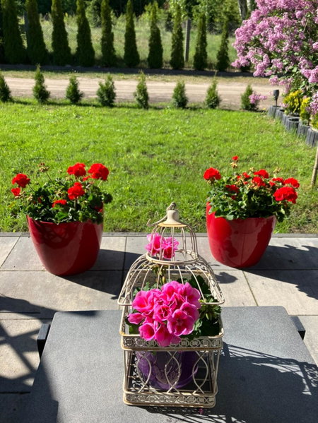 Apartamenty Arkadia przy Amfiteatrze, Mrągowo, Poland