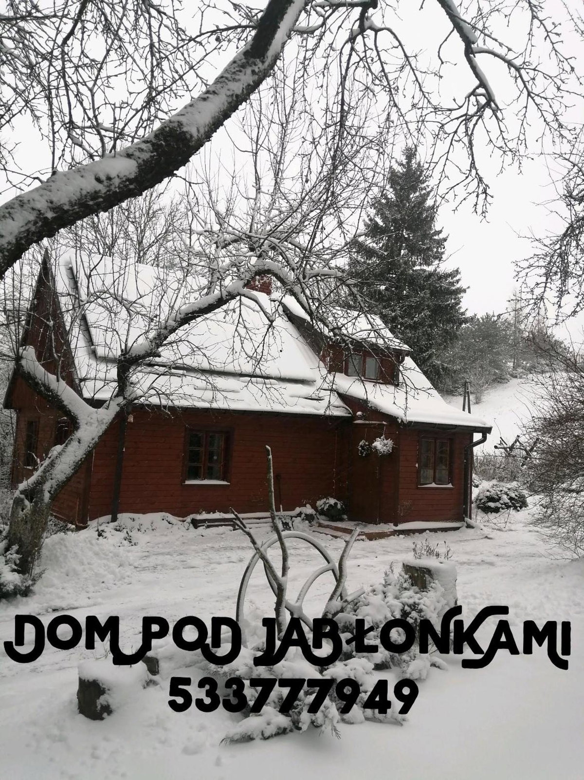 Dom pod jabłonkami, Poland