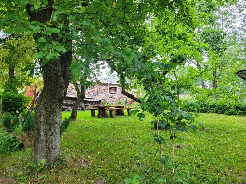 Dom pod jabłonkami, Zarzecze, Poland