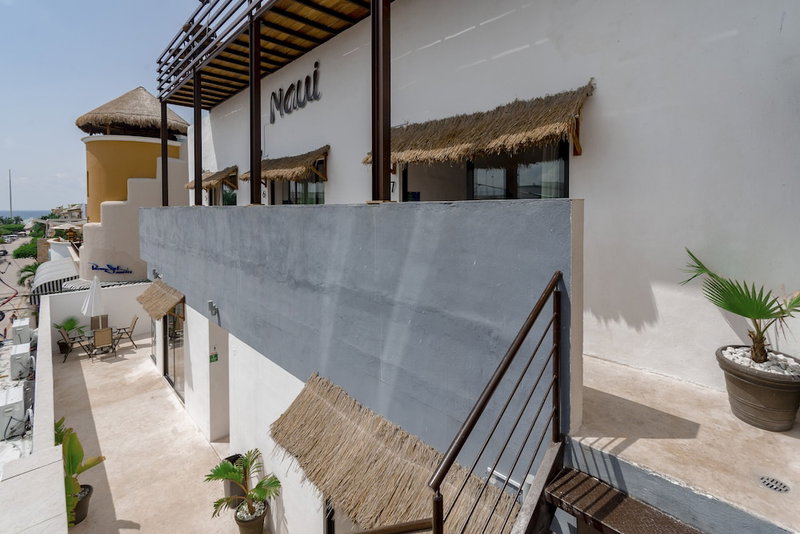 Maui Hostel - Adults Only, Playa del Carmen, Mexico