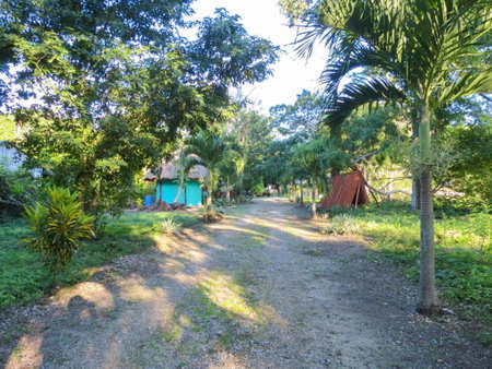 Cabañas Calakmul, Conhuas, Mexico
