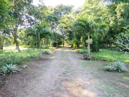 Cabañas Calakmul, Conhuas, Mexico