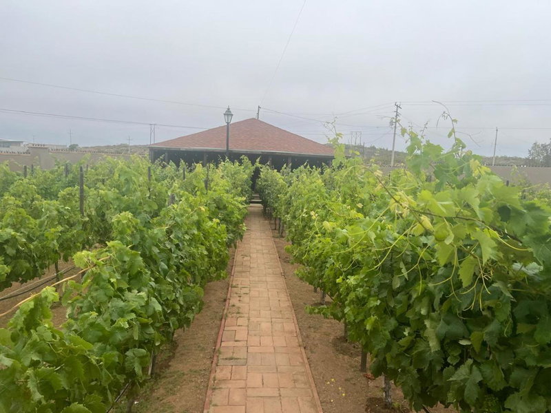 Quinta Lorame Departamento Cabernet, Ensenada, Mexico