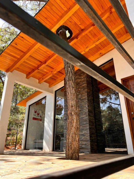 Cabaña "Alexa", en el corazón del bosque de Mazamitla, Mazamitla, Mexico