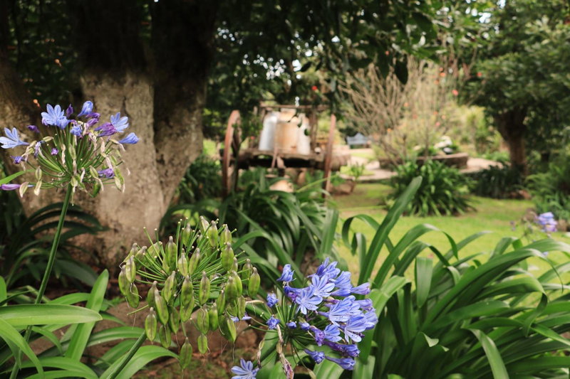 La Huerta, Mazamitla, Mexico