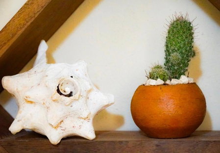 Chill Inn Hostel, Tulum, Mexico