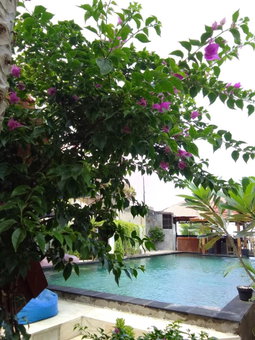 Talent Sunset Villa, Gili Air, Indonesia