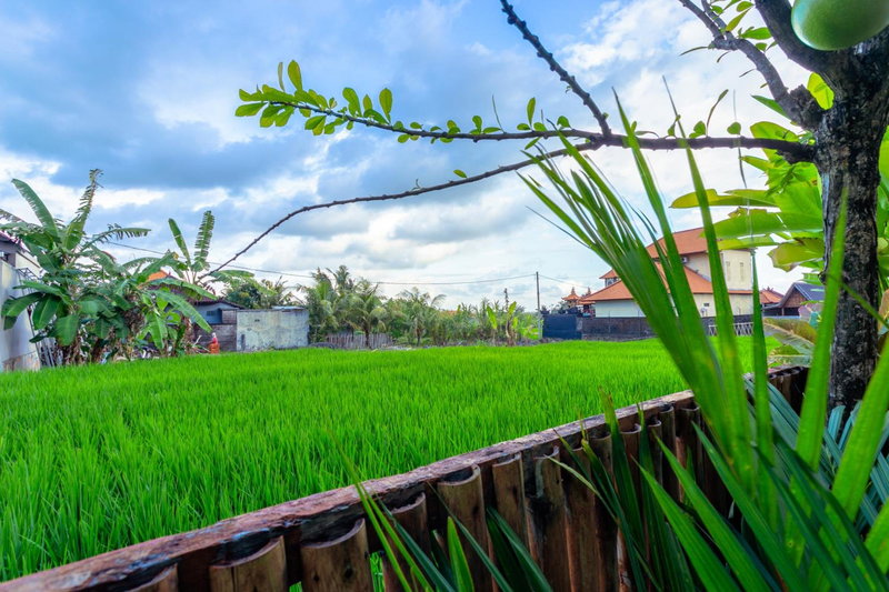 Kubu D'Carik Villa & Bungalow by ecommerceloka, Munggu, Indonesia