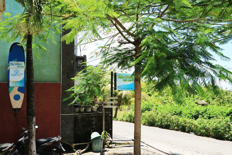 The Wina Guesthouse 2, Canggu, Indonesia