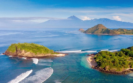Whales and Waves, Lemonga, Indonesia